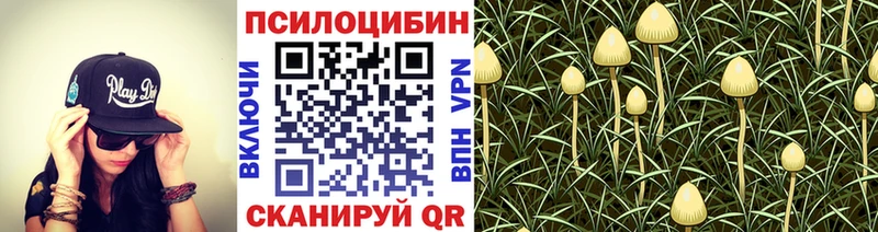 маркетплейс формула  Красный Кут  Псилоцибиновые грибы GOLDEN TEACHER 