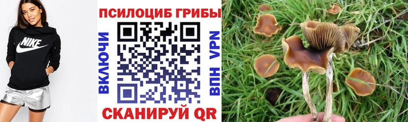 Галлюциногенные грибы прущие грибы Красный Кут